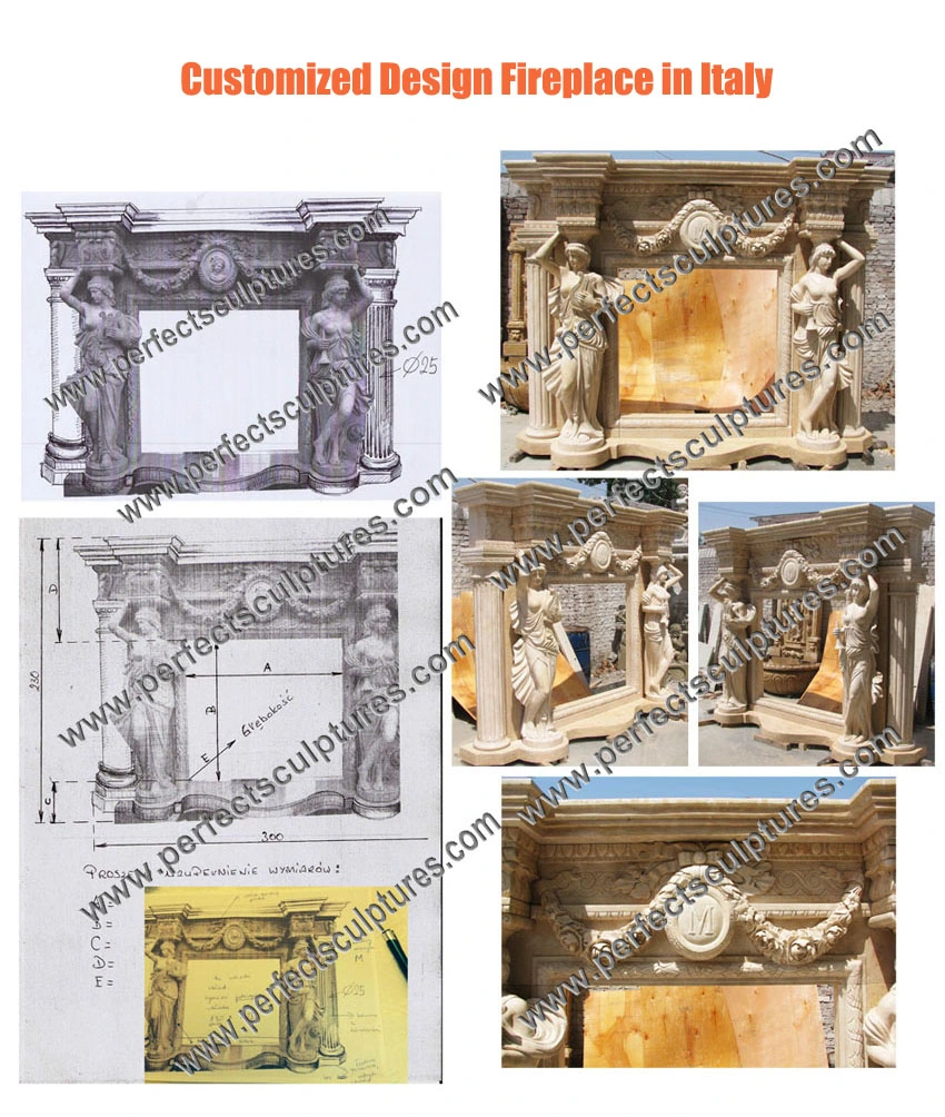 Luxury Antique Double Stone Marble Fireplace Surround with Carved Flower Lion Statue (QY-LS649)