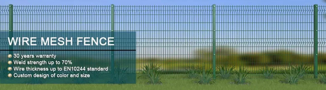 Factory Supply Welded Steel Wire 3D Bending Zone Fence Modern Garden Border Fence Edging