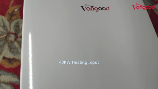 20L House Heating Machine Instant Geyser Boiler Shower Propane Natural Gas Hot Water Heater