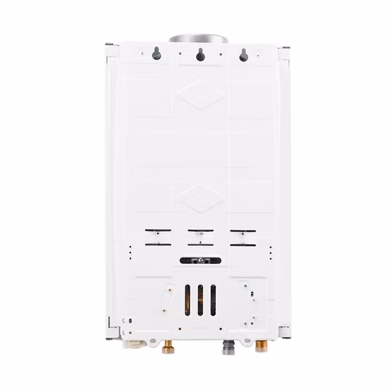 China Tankless Instant Hot Natural Propane LPG Bathroom Shower Gas Water Heaters